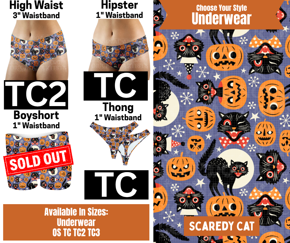 Scaredy Cat Hipster, High Waist & Thong Underwear