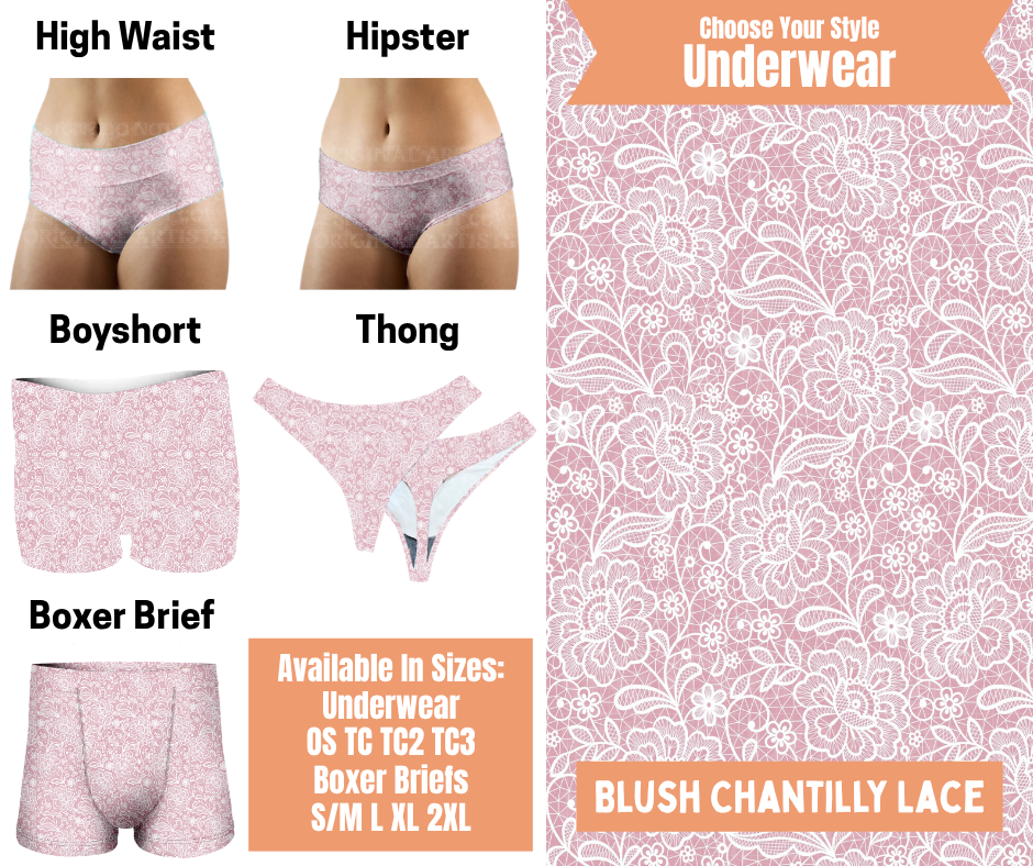 Preorder! Closes 11/5. ETA Feb. Blush Chantilly Lace Hipster, High Waist, Boyshort, & Thong Underwear & Boxer Briefs