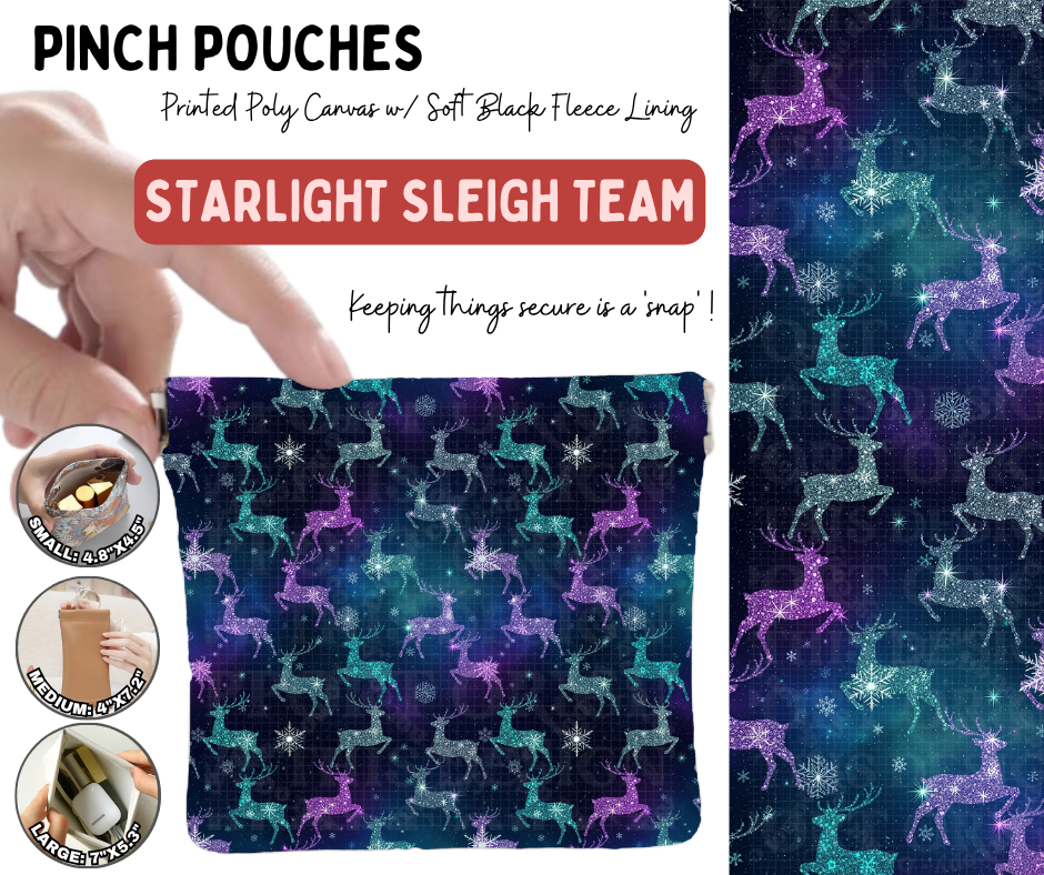 Preorder! Closes 8/19. ETA Nov. Starlight Sleigh Team Pinch Pouches in 3 Sizes