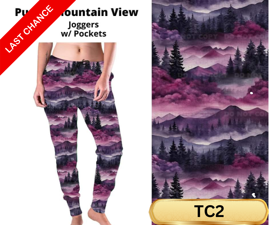 Purple Mountain View Joggers