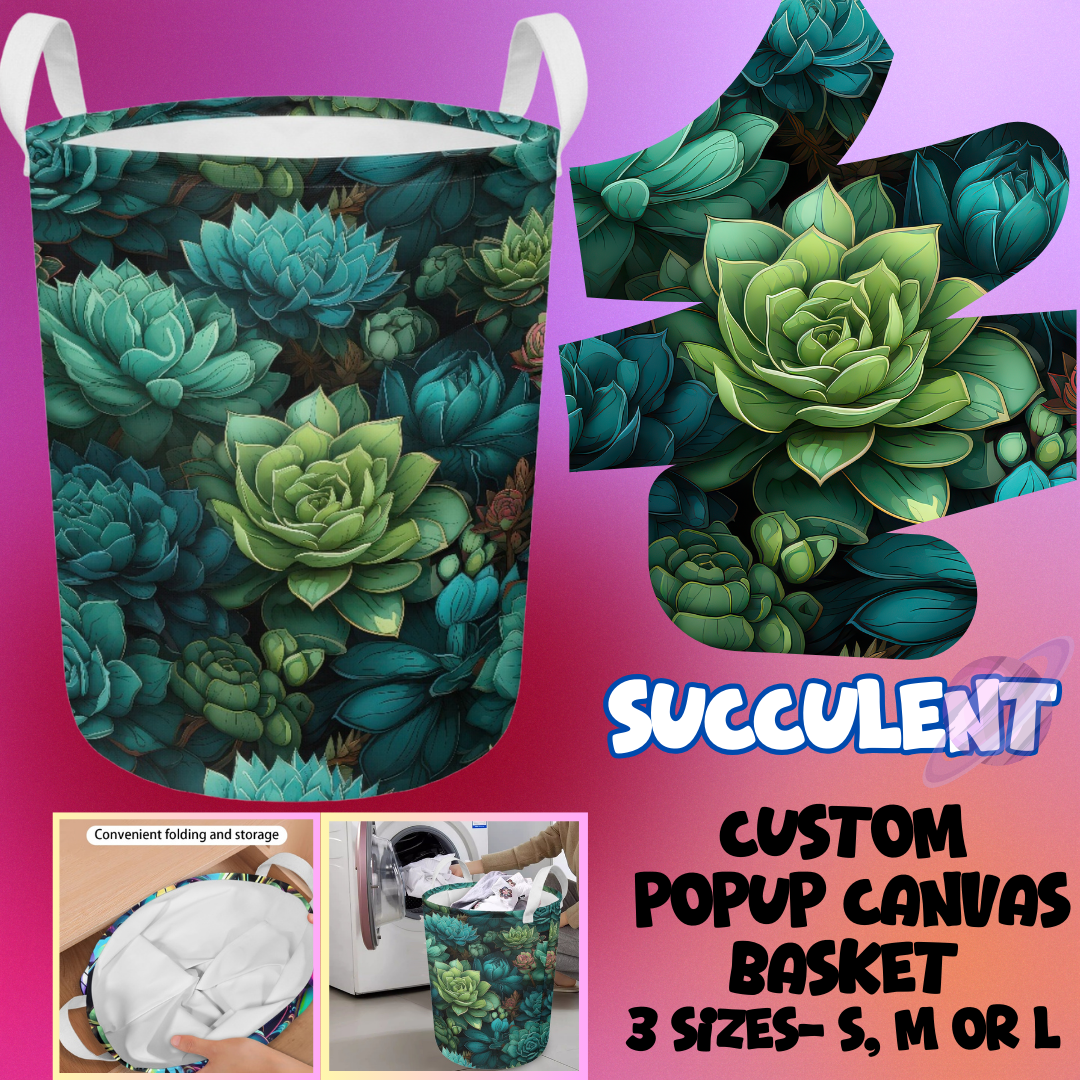 SUCCULENT- STORAGE BASKETS 6- PREORDER CLOSING 5/4
